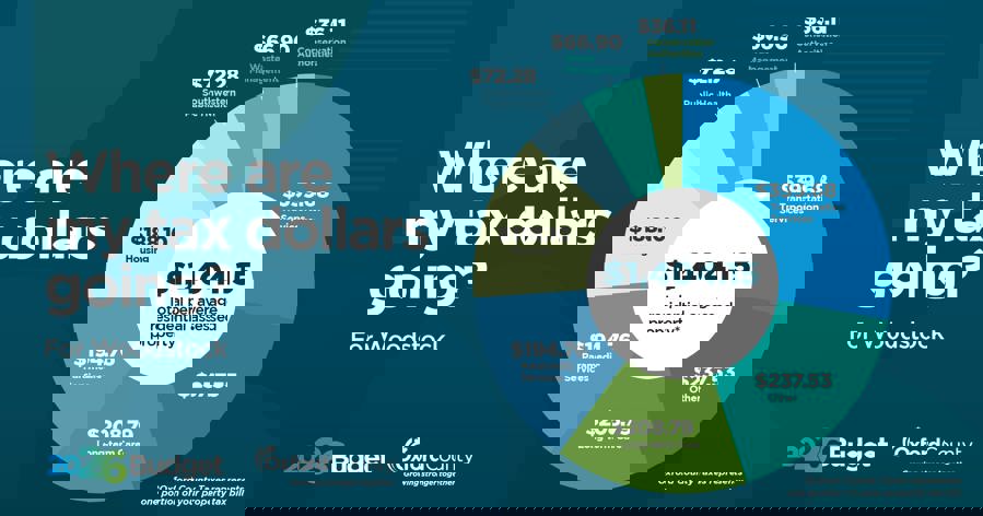 Where are my tax dollars going? A graph for Woodstock residents