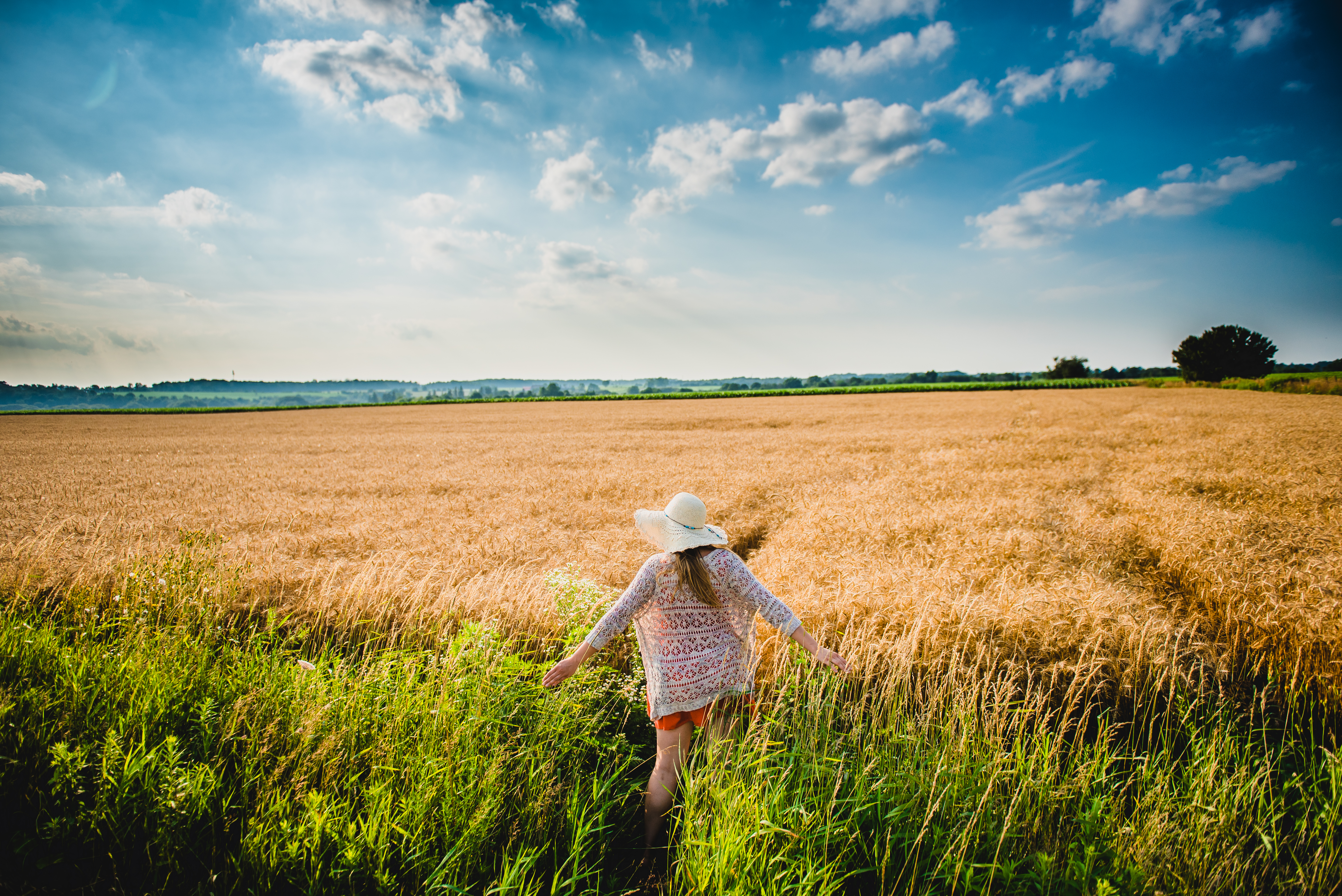 young child walking into a field of wheat