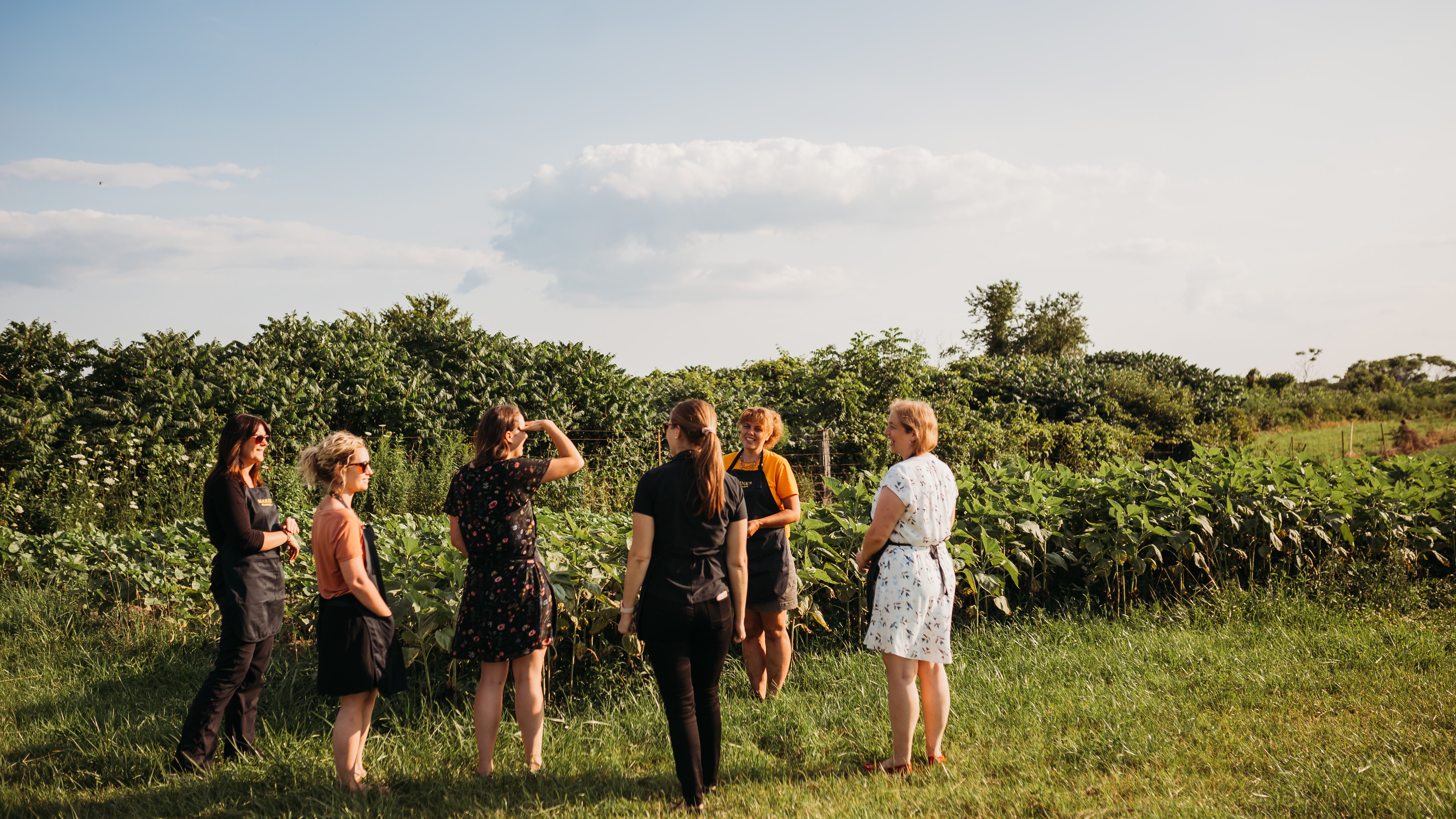 group of 6 women standing in a grassy field talking