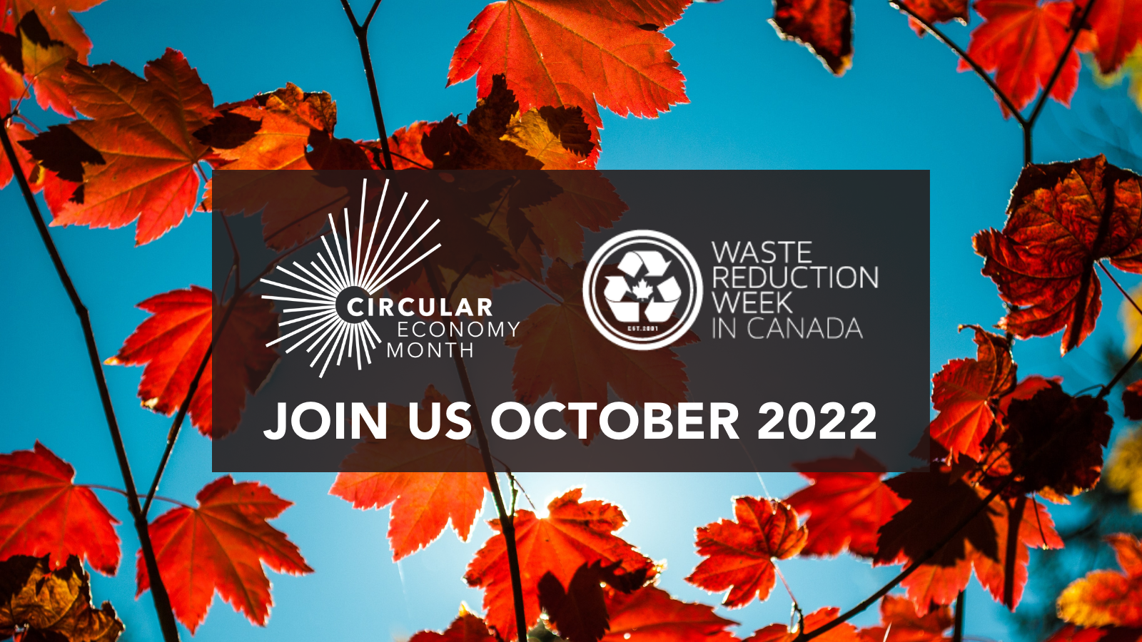 Fall leaves graphic for Waste Reduction Week 