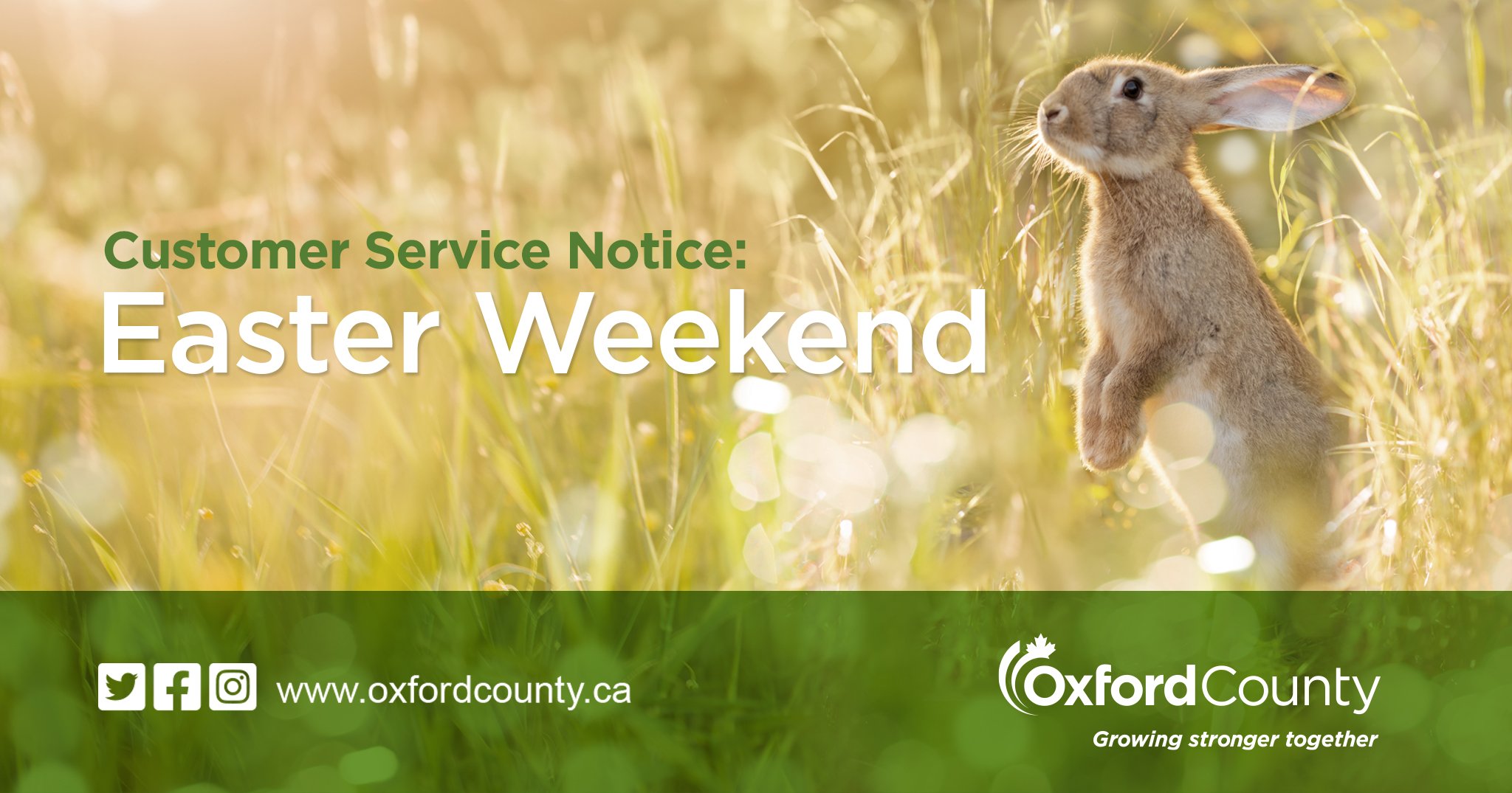 Easter weekend holiday hours social media graphic with a bunny in a field