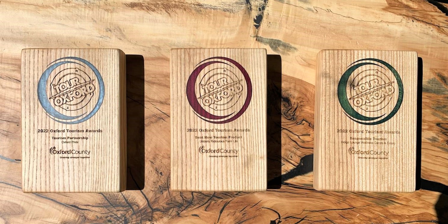 Three awards lined up on a Wooden black. Each award is a small wooden block, featuring the award logo