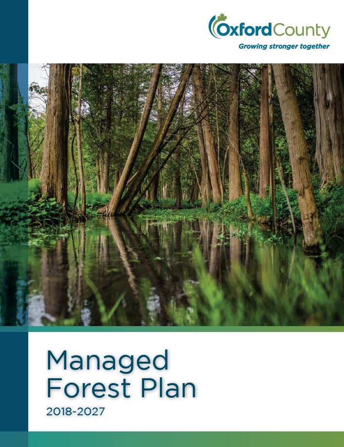 managed forest plan cover
