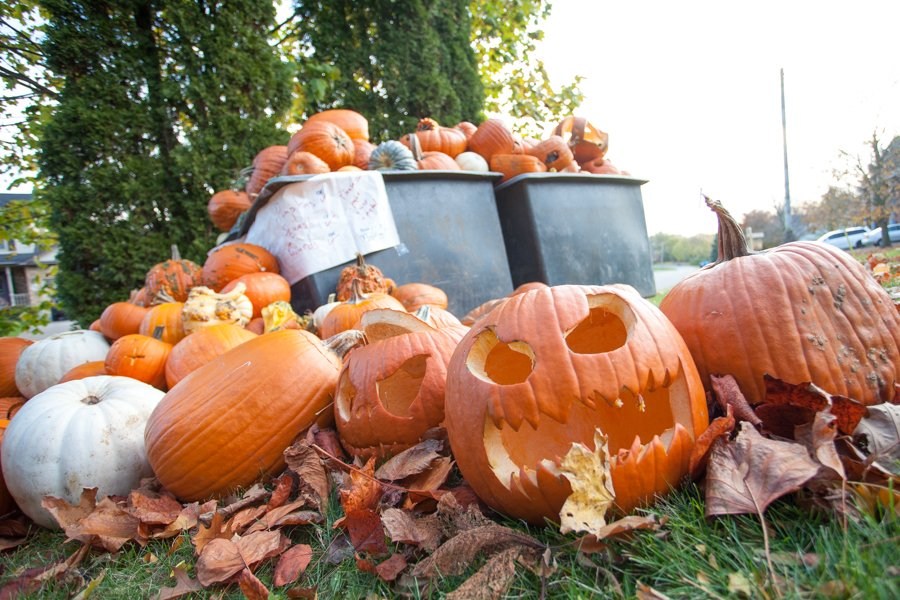 Great pumpkin rescue