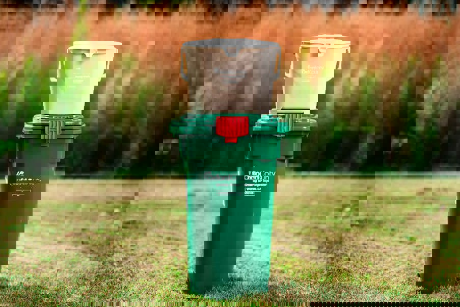 Green bins - 45 litre bin and 7 litre kitchen container