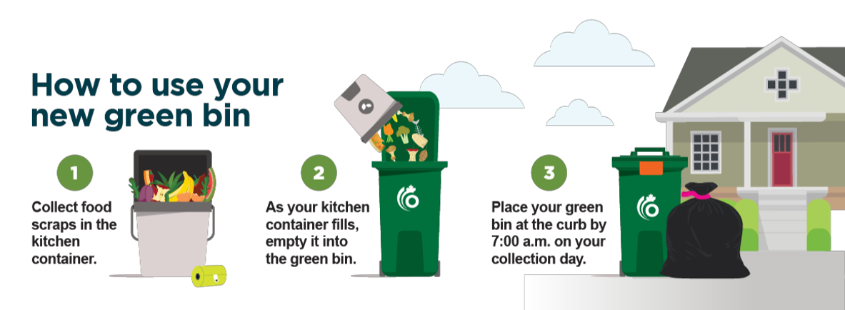 How to use your new green bin infographic. 1. Collect food scraps in the kitchen container. 2. Ask your kitchen container fills, empty it into the green bin. 3. Place your green bin at the curb by 7:00 a.m. on your collection day.