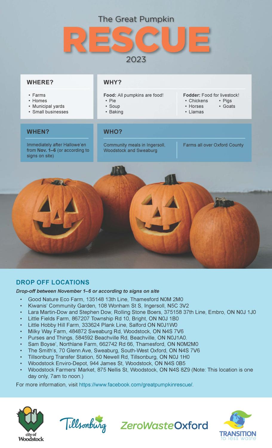 Great Pumpkin Rescue poster