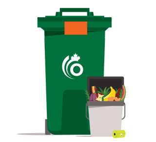 Graphic of Green bin and kitchen container full of food
