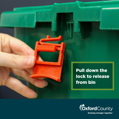 How to remove the secondary lock - image 3. Pull down the lock to release from bin.